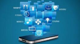 软件开发为什么越来越偏向于定制型？