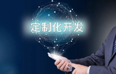 呼和浩特软件开发平台开发的优势