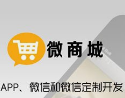 微商城与小程序商城的运营成本差异