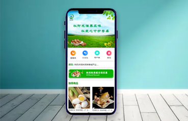 内蒙古网站建设,林间味