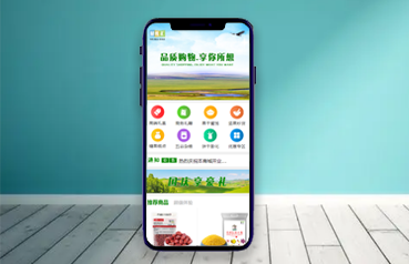 内蒙古网站建设,内蒙古蒙礼供应链管理有限公司