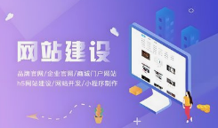 呼和浩特网络公司微邦网络：门户网站成企业数字化重要支撑，助力本地企业拓展发展空间